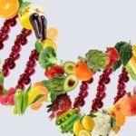 Diet-Gene-Connection